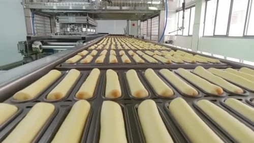 Gros plan d'une usine de gâteaux alimentaires sur une chaîne de montage, production automatisée de cookies sur un tapis roulant L