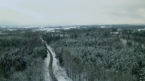 Asphalt Road Between Evergreen Trees In Forest During Winter In Pieszkowo, Poland. - aerial