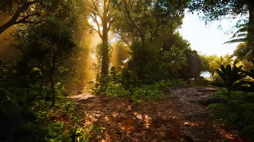 Sunlight Filtering Through Dense Trees in a Lush Tropical Forest