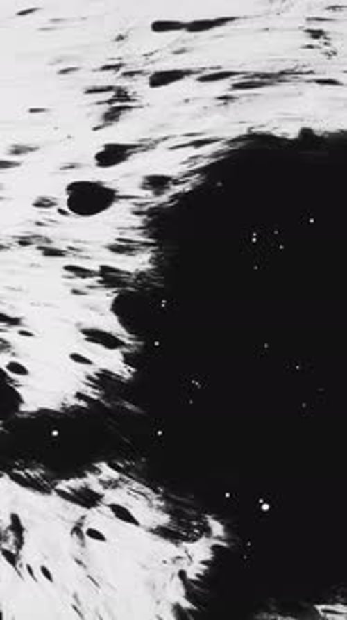 Abstract Black Ink Spreading on White Background