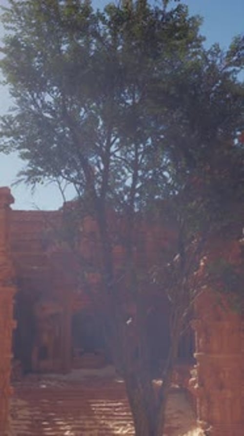 A Tree in Front of a Brick Building