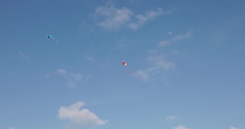 Kites flying in the sky.