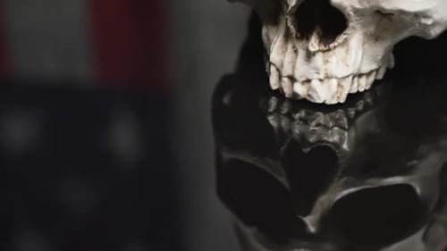 Close Up of Skull Zooming