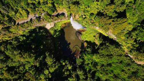 Aerial view of waterfall and forest, New Zealand.