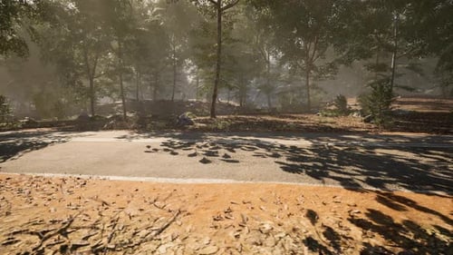 La luz del sol se filtra a través de los árboles a lo largo de una sinuosa carretera forestal por la tarde