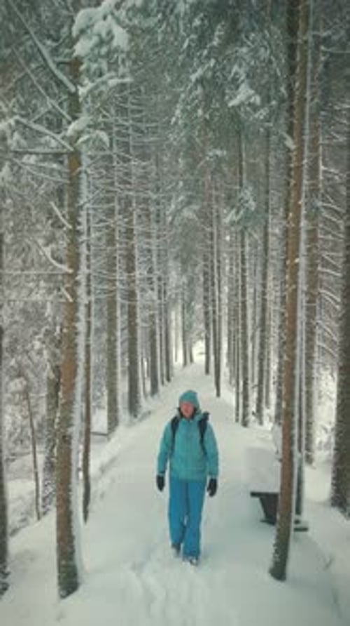 Woman in winter tourists clothes walking in snowy forest. Vertical video
