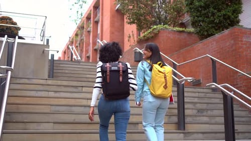 Multiracial Students Walking Along the Campus of the University