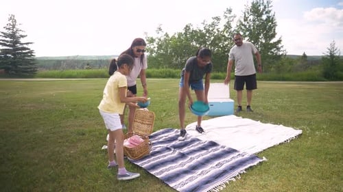 Family Preparing Food On Picnic Blankets In Summer Park