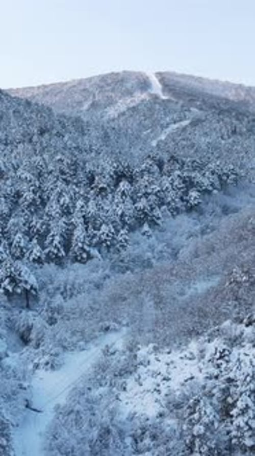Epische Flugdrohne im Winter Snow Forest