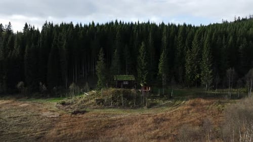 Indre Fosen, Trondelag County, Norway - A View of a Cabin Encircled by Evergreen Trees - Aerial Pull