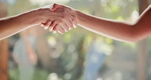 Two People Shaking Hands in Daylight