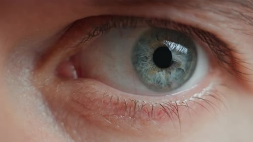 Nahaufnahme eines männlichen blauen Auges mit Pupillen- und Irisdetails