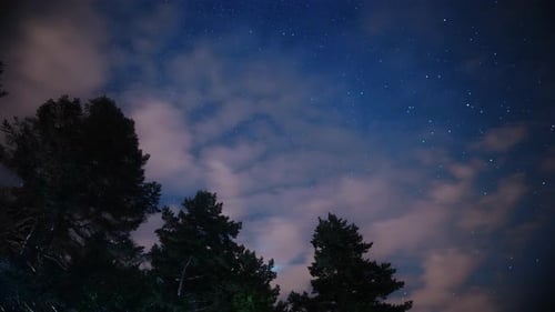 Stars (4K)