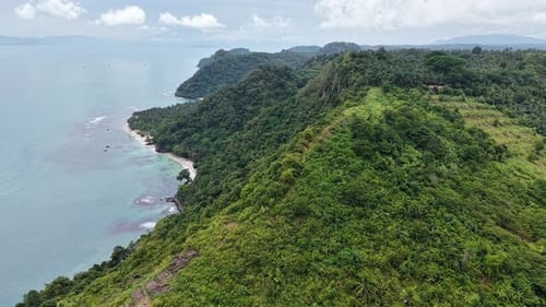 Aerial View of Lush Green Coastal Slopes Meeting the Turquoise Waters of a Curved Sandy Beach