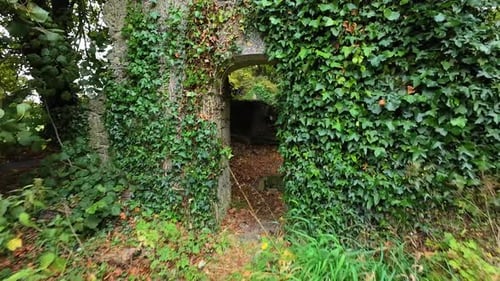 Haunted Ireland walking through a door of ruined church in woods in rural Ireland site of paranormal
