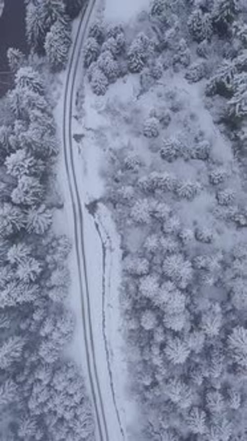 Aerial View of Snowcovered Forest with Winding Road During Winter