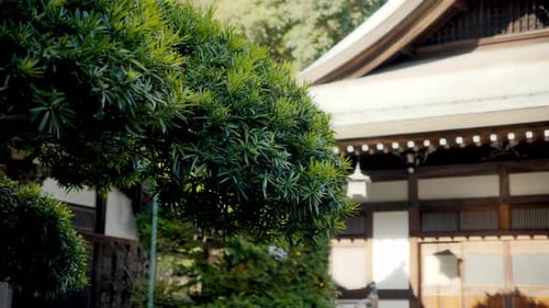 Traditional Japanese Temple Garden on a Sunny Day