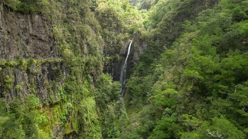 Aerial view of lush forest and waterfall, Madeira, Portugal.