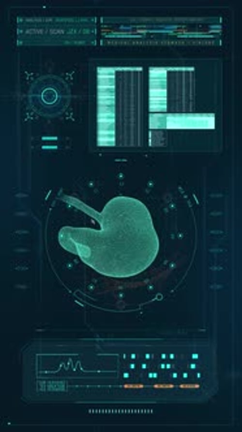 Dinosaur Data Hud Stomach