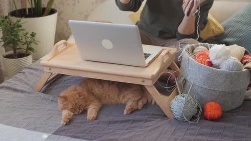Person Knitting Indoors with Cat Sleeping Nearby