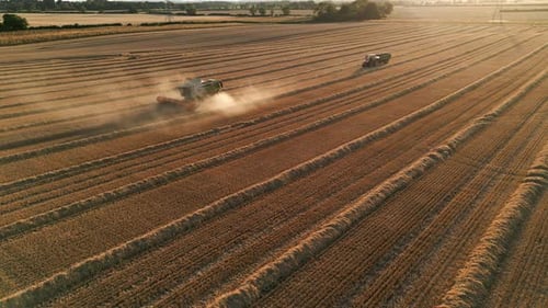 Establishing Drone Shot of Combine Harvester and Tractor Working at Golden Hour on Sunny Day at Suns
