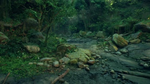 A Dirt Road Surrounded By Trees and Rocks
