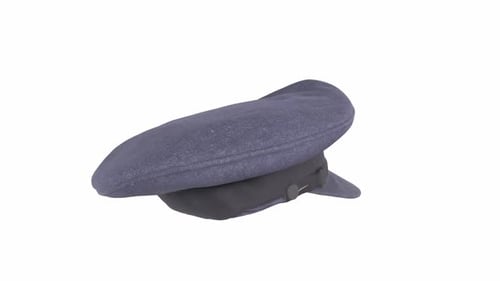 Animated 3D Model of a Rotating Service Cap