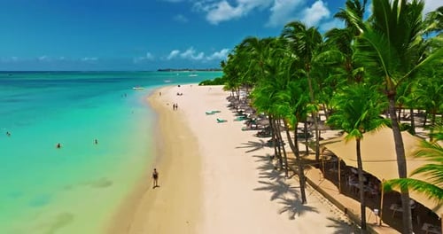 Aerial View of Beach with Palm Trees and Perfect Turquoise Sea Water Relaxing and Exotic Drone View
