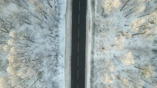Aerial View of Winter Landscape with Snow Covered Woods and Black Asphalt Forest Road on Cold Wintry