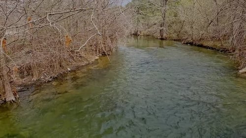 Slow moving river with trees camera panning down from full view to just water
