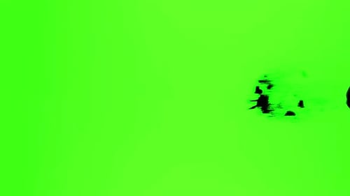 Dirt Footage With Green Screen