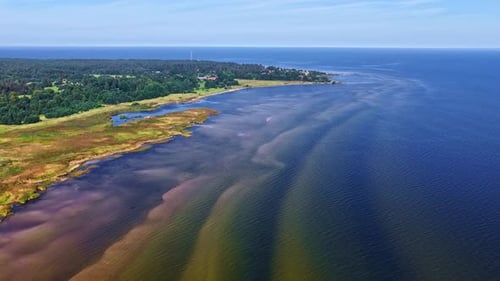 Aerial drone view of Baltic Sea coastline with sandy ripples and forest