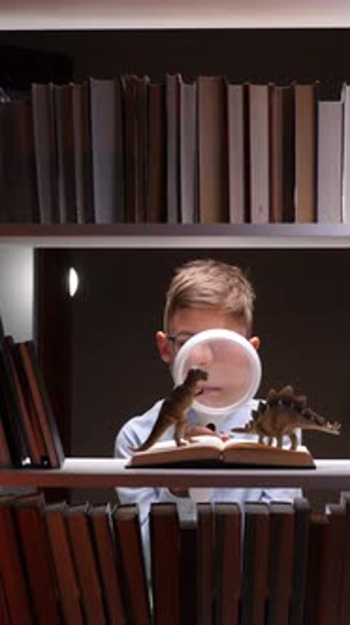 Child Reading Dinosaur Book With Magnifying Glass