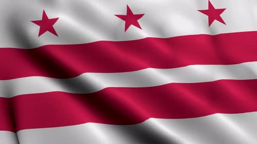 Dynamic Waving Flag of Washington D.C.