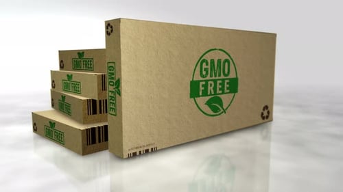 GMO free box 3d object