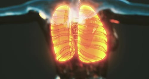 Futuristic 3D Glowing Human Lungs Medical Animation