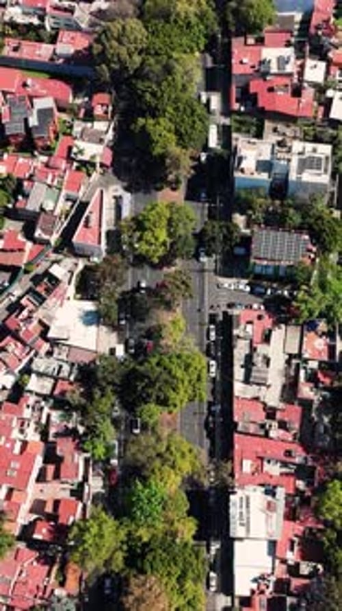 90-degree aerial view of Quevedo Avenue in Coyoacan, Mexico
