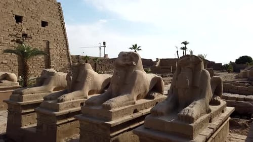 Ancient Sphinxes Stand Guard at Egyptian Temple