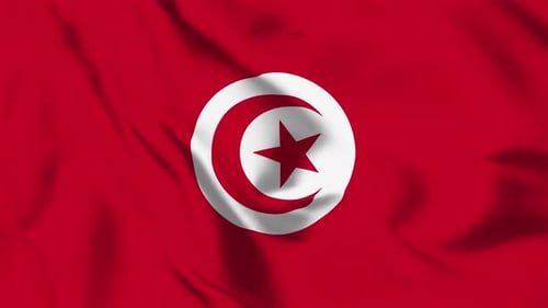Waving Flag of Tunisia Seamless Loop Background Animation