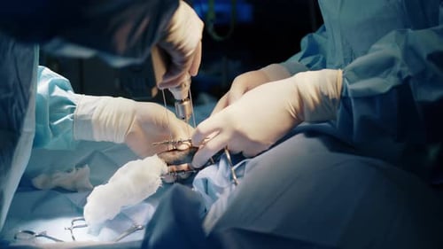 A Close Up of Veterinarian Drilling Something in the Patient with a Surgical Mini Drill