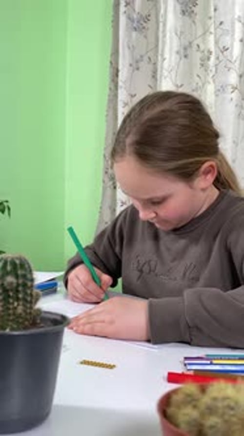 Hobby Drawing By a Teeanage Girl