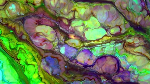 Colorful Fluid Abstract Forms and Patterns