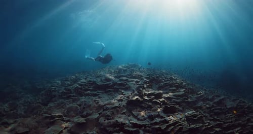 Woman Free Diver Dives and Swims Underwater with Fins in Tropical Blue Sea Freediving with Beautiful