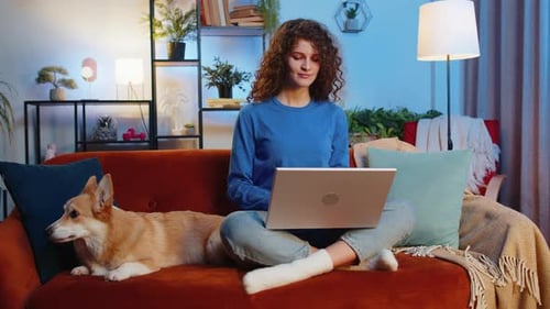 Woman Works on Laptop with Corgi Dog