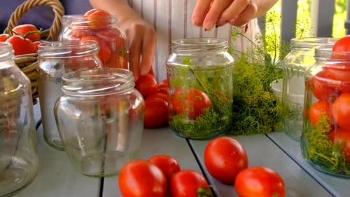 Woman Canning Fresh Tomatoes with Dill in Jars