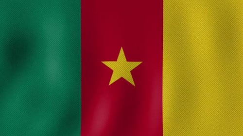 Cameroon National Flag Realistic Waving Animation