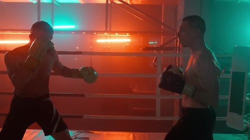Two Boxer Fight Silhouette