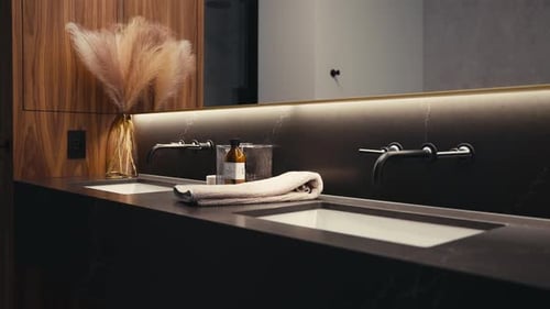 Modern Bathroom Design with Double Sink