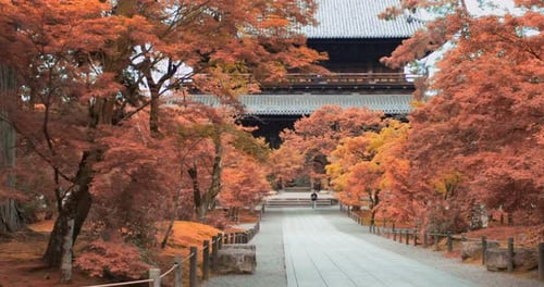 Guy walking from a big shrine through the orange autumn leaves in Kyoto, Japan soft lighting