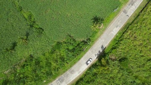 Landscape with Cultivated Fields and Road for Vehicles
